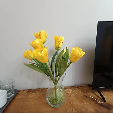 U Daniela 3* Międzygórze