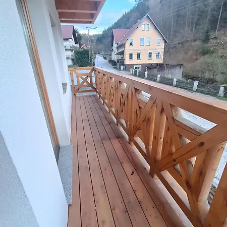Guest house U Daniela Miedzygorze