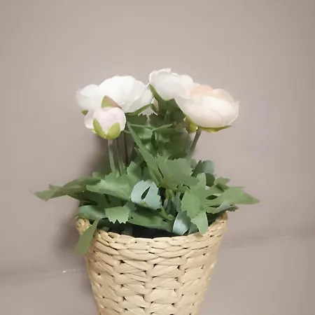 U Daniela 3* Międzygórze