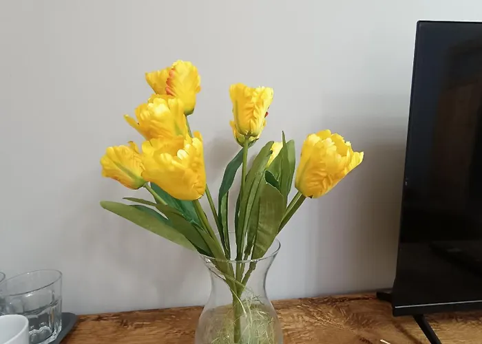 U Daniela 3* Miedzygorze