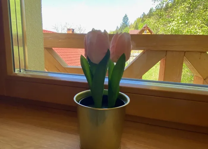 게스트하우스 U Daniela 3*