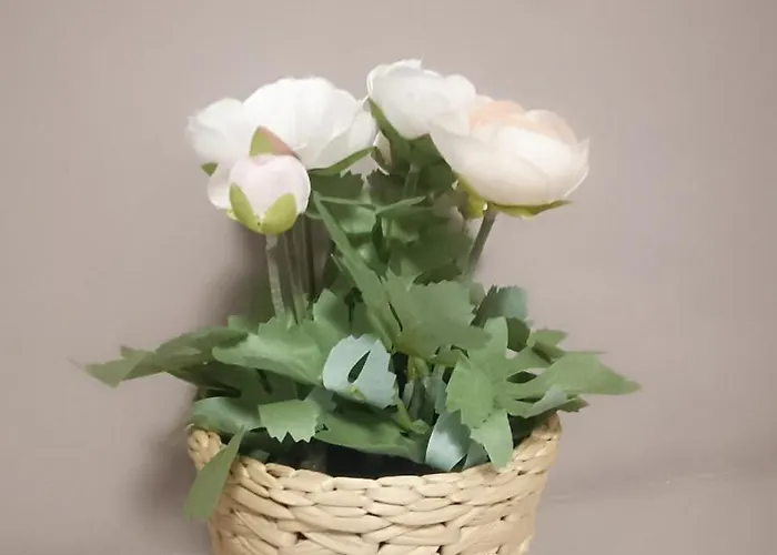 U Daniela 3* Miedzygorze