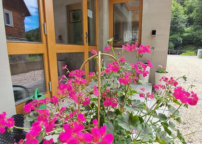 U Daniela 게스트하우스